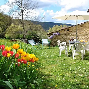 https://casa-al-miglio.it-tuscanyhotel.com